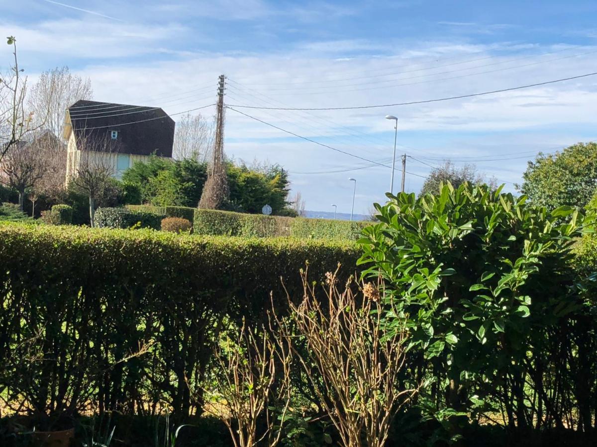 Studio En Rez De Jardin -"Le Petit Nid" A Trouville Esterno foto